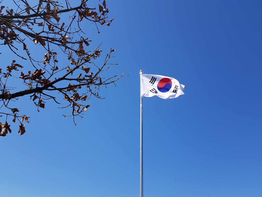 Korea Branch Service