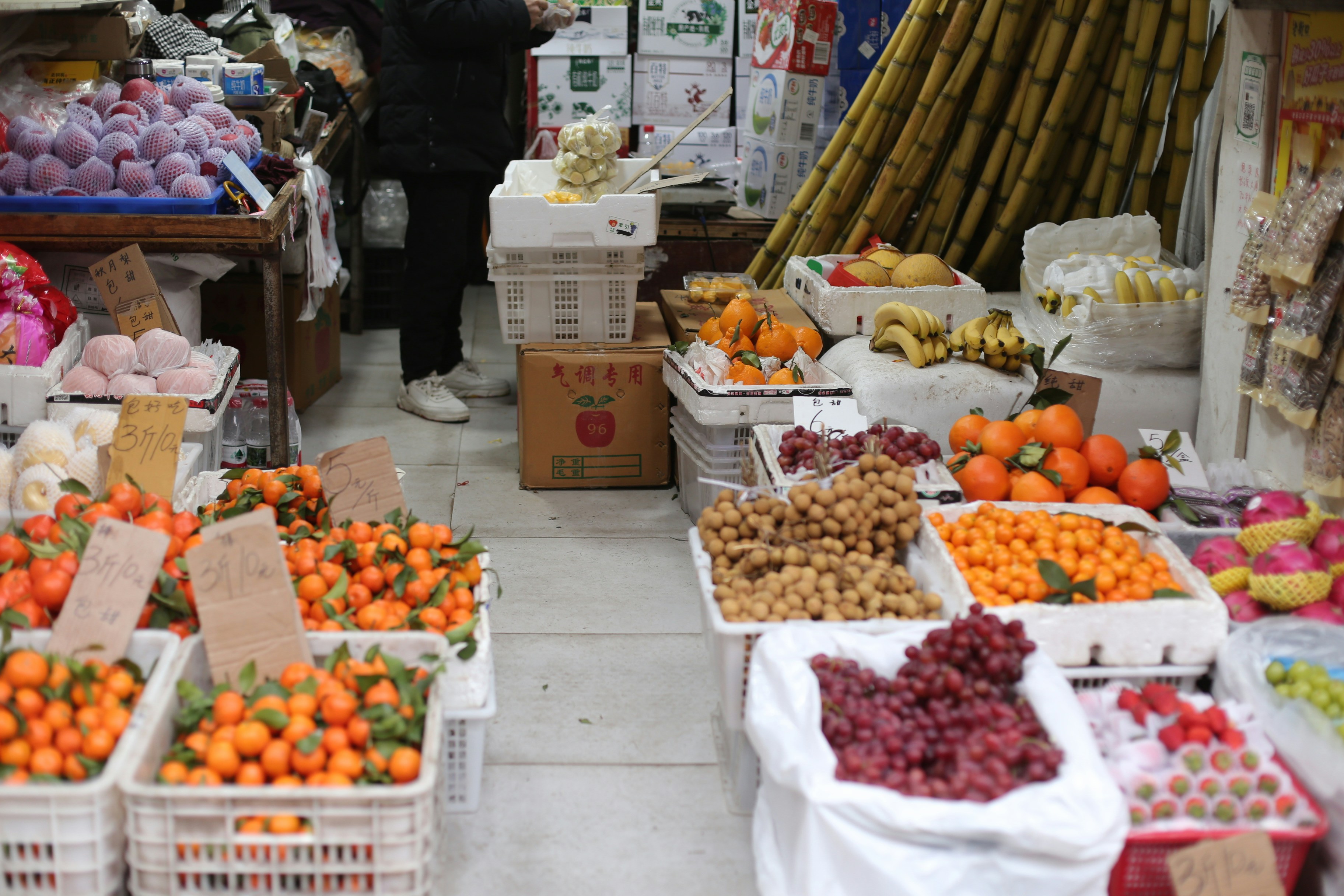 식품수입
